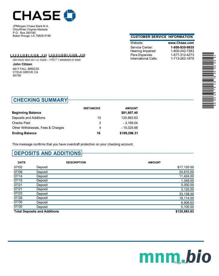 USA Integrity wyciąg bankowy szablon Worda i PDF